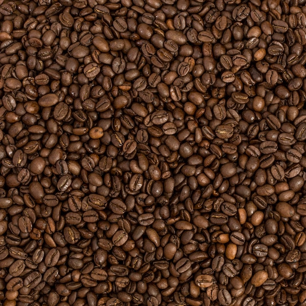 Foto fundo de feijão de café