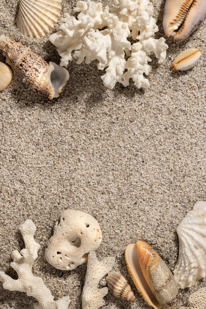 Fundo de férias de verão na praia com conchas e areia Vista superior cópia espaço