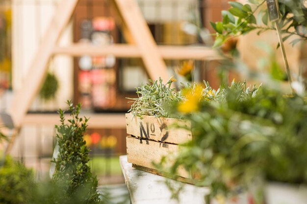 Fundo de flores da decoração de arranjo de planta de casa de florista de pequenas empresas com ninguém