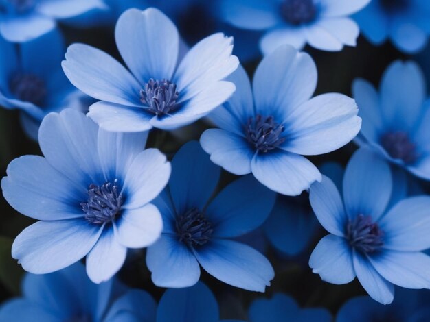 Foto fundo de flores de cor azul