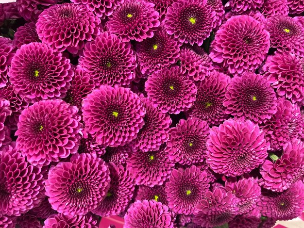 Fundo de flores lindas para a cena do casamento