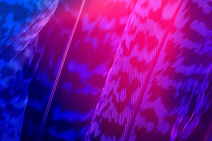 Foto fundo de folha de calathea zebrina rosa e azul