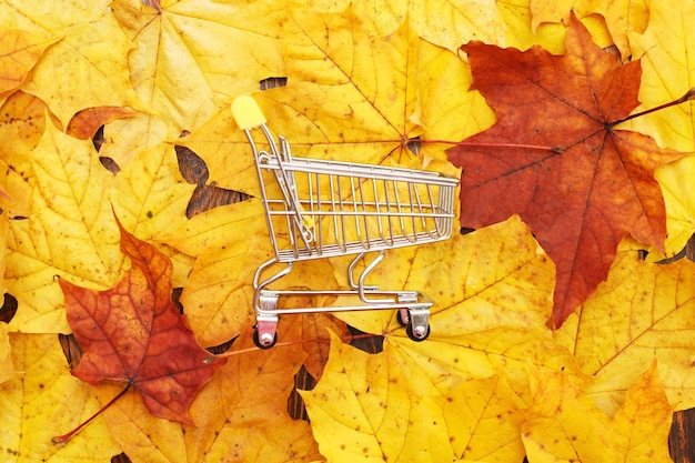 Fundo de folhas de outono com desconto de outono de carrinho de compras e conceito de venda