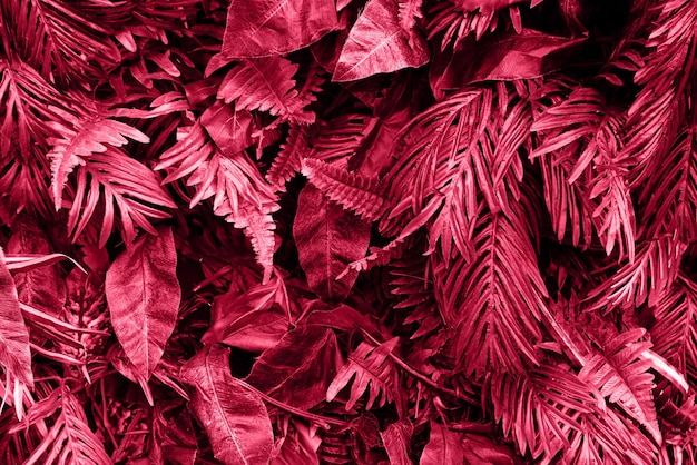 Fundo de folhas tropicais coloridas na cor vermelha da moda de 2023