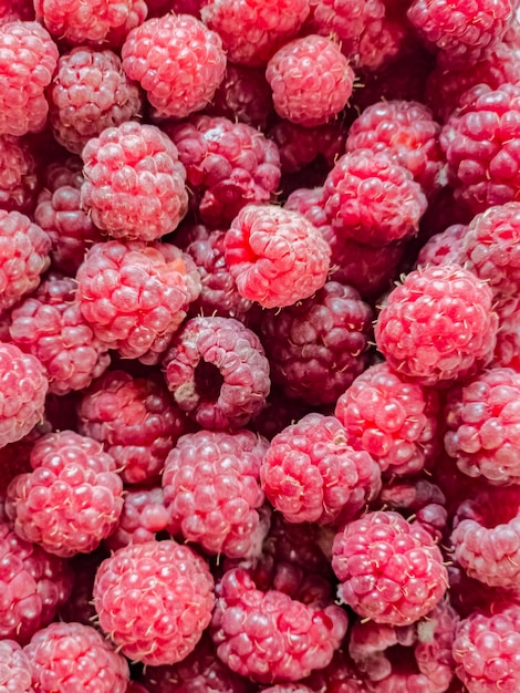 fundo de framboesas frescas e doces framboesas maduras orgânicas frescas um feixe de framboeses cor-de-rosa vermelho