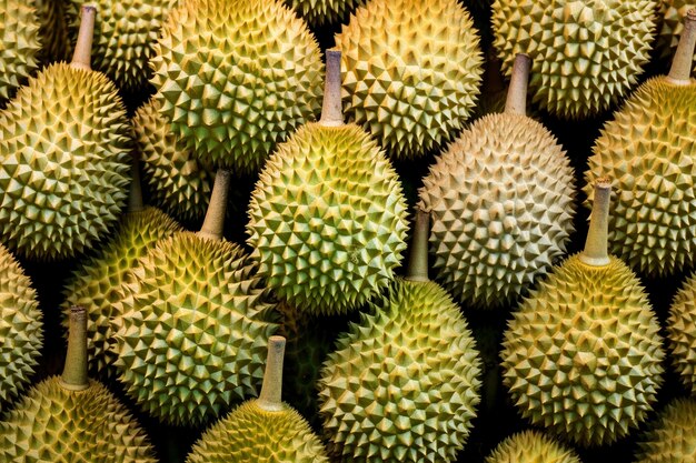 fundo de frutas de durian