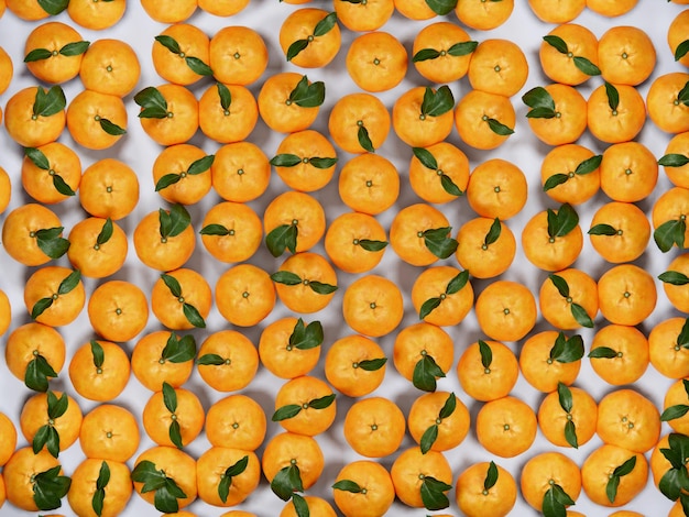 Fundo de frutas laranjas frescas