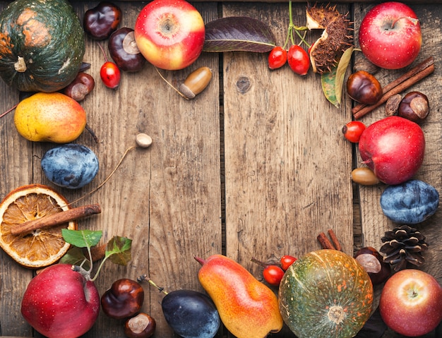 Fundo de frutas outono