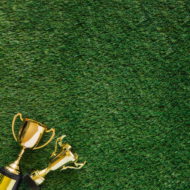 Foto fundo de futebol com troféu