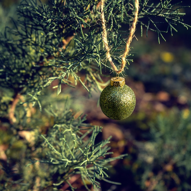 Fundo de galhos verdes de uma árvore de Natal com bola colorida brilhante