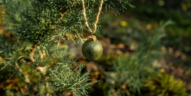Fundo de galhos verdes de uma árvore de Natal com bola colorida brilhante