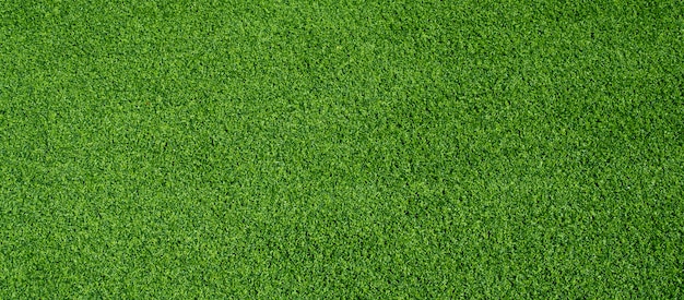 fundo de grama verde, campo de futebol