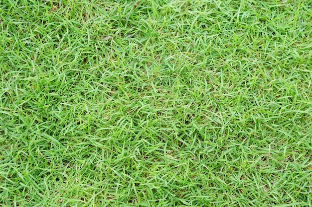 fundo de grama verde no campo de futebol