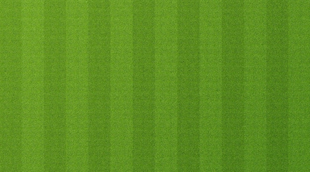 Fundo de grama verde