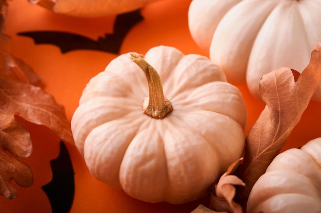 Fundo de Halloween Bando de abóbora de aranha de morcegos pretos e folhas para Halloween Silhuetas de morcegos de papel preto em fundo laranja Decoração de outono Conceito de Halloween Vista superior