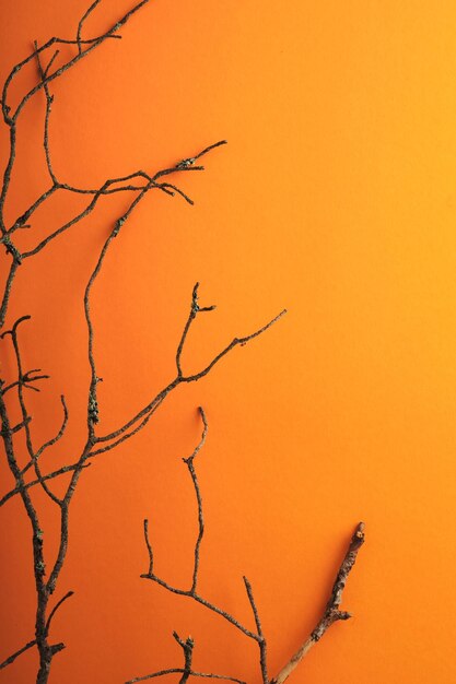 Fundo de Halloween Bando de esqueleto de abóbora de aranha de morcegos pretos e folhas para Halloween Silhuetas de morcegos de papel preto em fundo laranja Decoração de outono Conceito de Halloween Vista superior