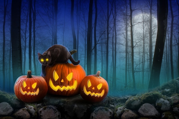 Fundo de Halloween com abóboras assustadoras e floresta escura com um gato preto