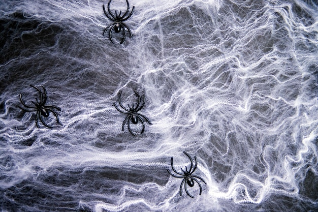 Foto fundo de halloween com aranhas na teia teia de aranha branca com aranhas decorativas pretas