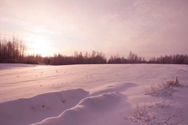 Fundo de inverno com campo de neve.