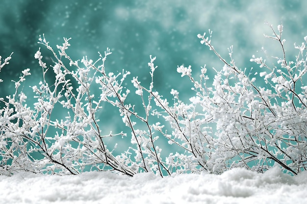 Foto fundo de inverno com galhos congelados e flocos de neve tonado