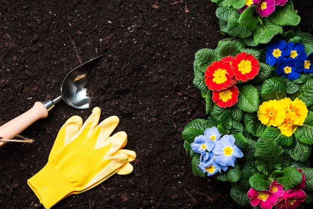 Fundo de jardinagem Primavera plantando objetos relacionados no solo do jardim relvado