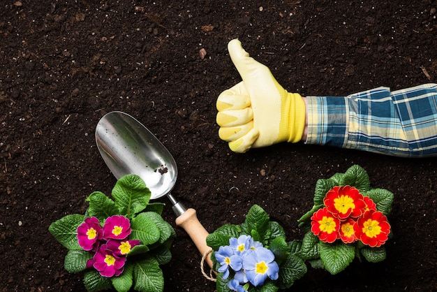 Fundo de jardinagem Primavera plantando objetos relacionados no solo do jardim relvado