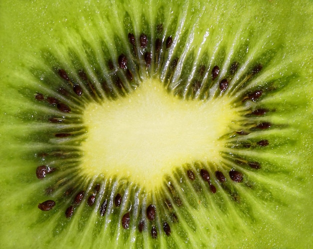 Fundo de kiwi, verde