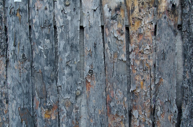 Fundo de madeira da cerca de madeira