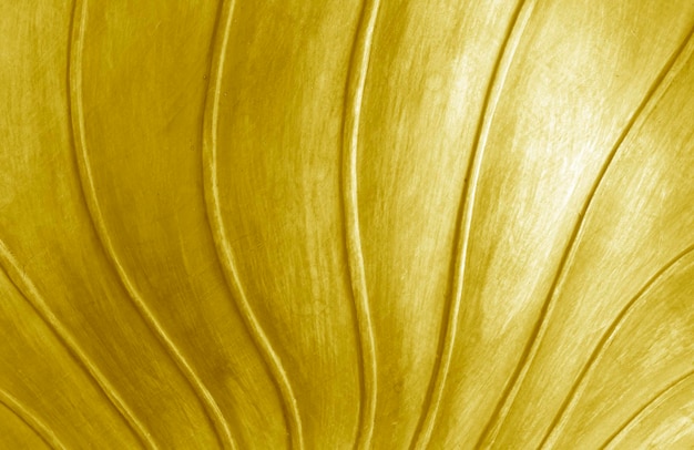 Fundo de madeira dourado