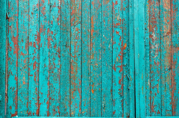 Fundo de madeira pintado em cor turquesa Pintura turquesa rachada Pintura velha na cerca