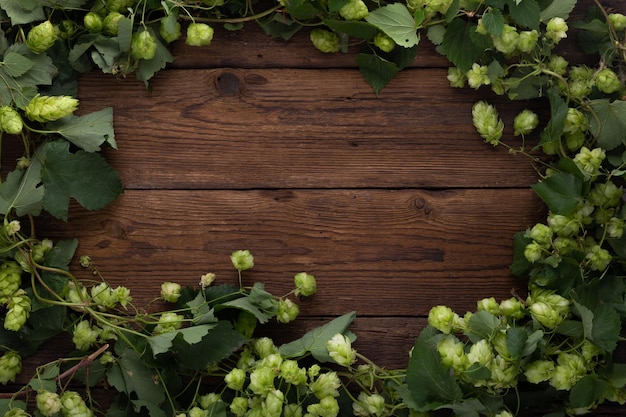 Fundo de madeira Quadro de lúpulo verde em tábuas de madeira velhas rústicas Copie o espaço