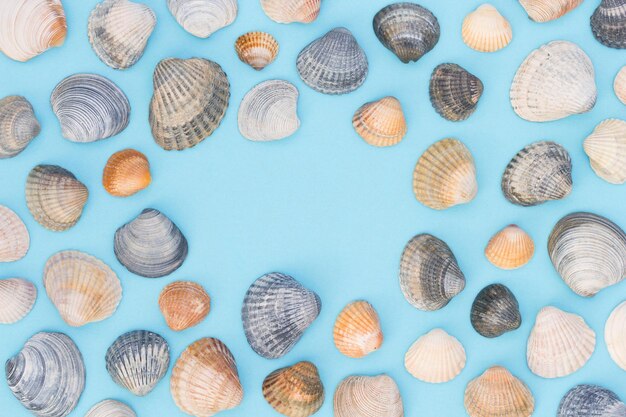 Fundo de mar de verão turquesa com conchas e espaço vazio
