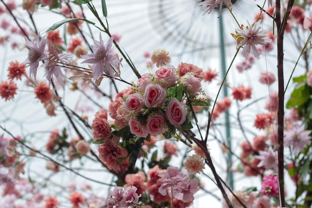 Foto fundo de muitas flores rose pierre de ronsard para dia dos namorados ou casamento