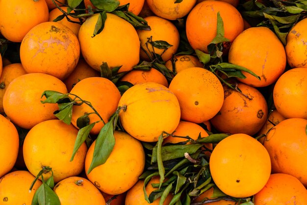 Fundo de muitas frutas frescas de laranja maduras