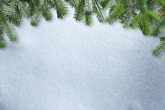 Fundo de Natal branco com galhos de árvores de Natal e bagas vermelhas,