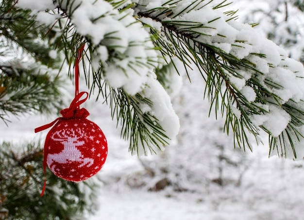 Fundo de natal com bola vermelha de malha com veado em galho de pinheiro coberto de neve na floresta de inverno