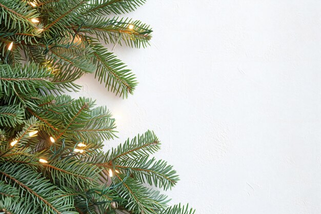 Fundo de Natal com galhos de abeto e luzes de guirlandas em um fundo branco