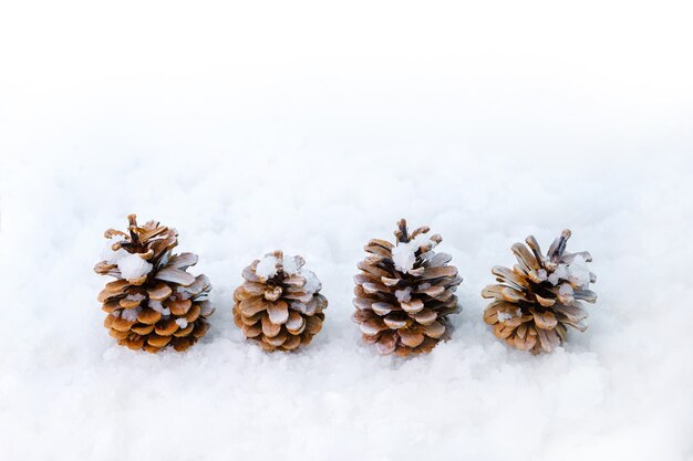 Fundo de Natal, cones na neve. Ano novo, feriado, natal, decoração