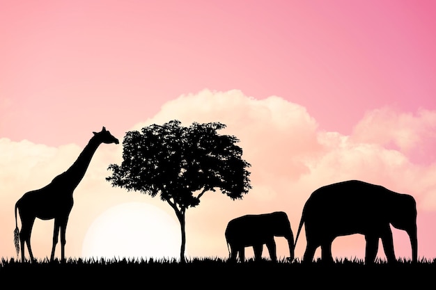 Fundo de natureza com elefantes e girafas