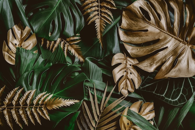 Fundo de natureza criativa. Ouro e verde tropical Monstera e folhas de palmeira. Abstrato mínimo de verão