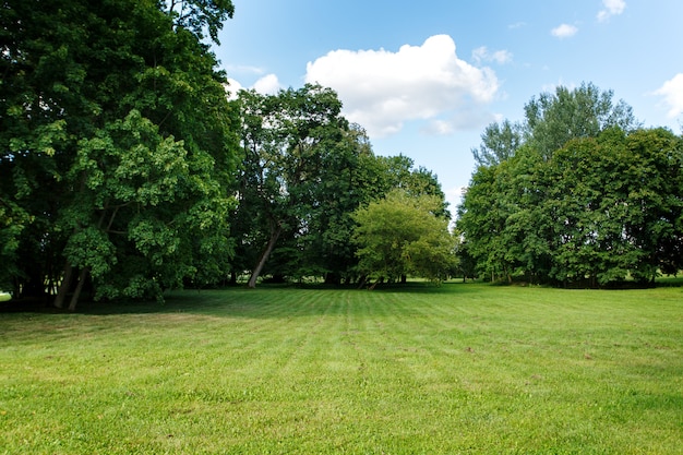 Fundo de natureza, parque com prado