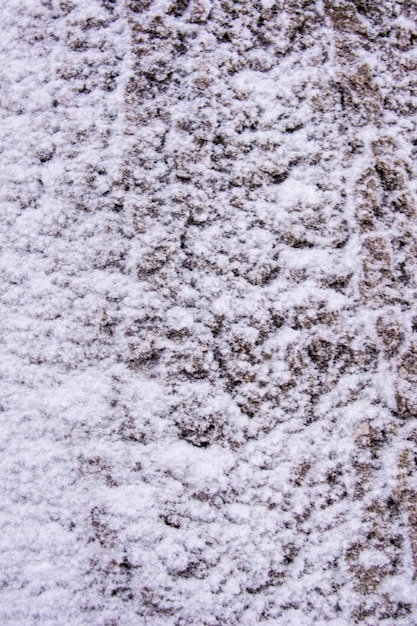 Fundo de neve na árvore.