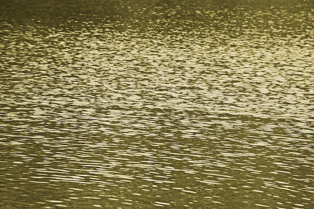 Fundo de ouro líquido - onda de água