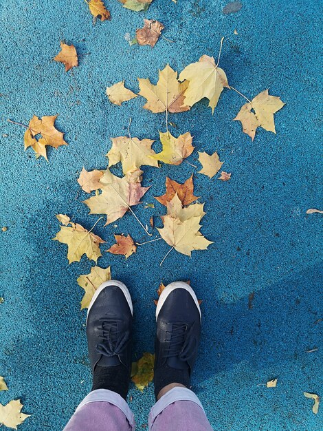 Fundo de Outono com folhas caídas, folhas caídas de uma árvore e botas.