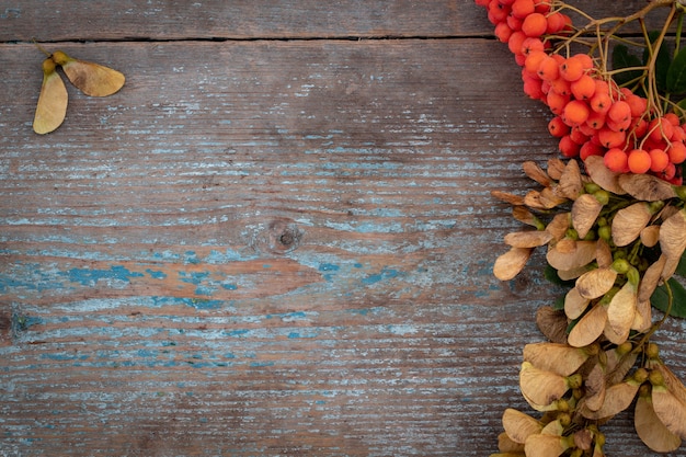 Fundo de outono de folhas caídas e frutos com ajuste de lugar vintage na velha mesa de madeira. Conceito do dia de ação de Graças.