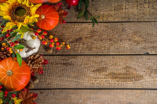 Fundo de outono festivo com abóboras, bagas e frutos