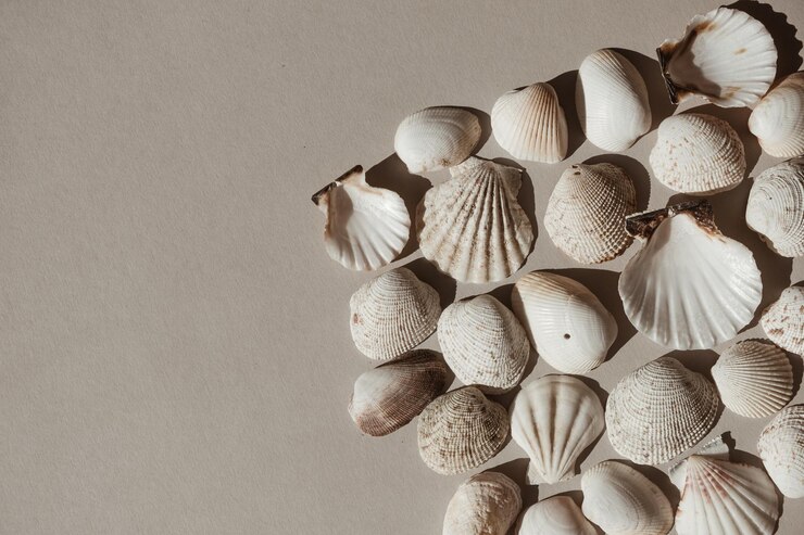 Fundo de padrão de conchas bege e branco neutro