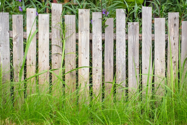 Fundo de padrão de textura de cerca de madeira com grama verde