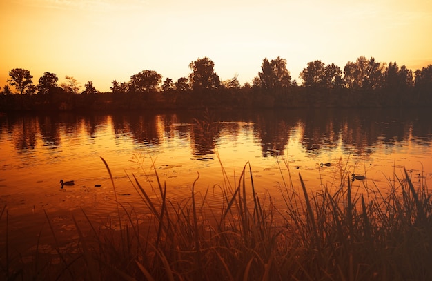 Fundo de paisagem do pôr do sol do rio dourado