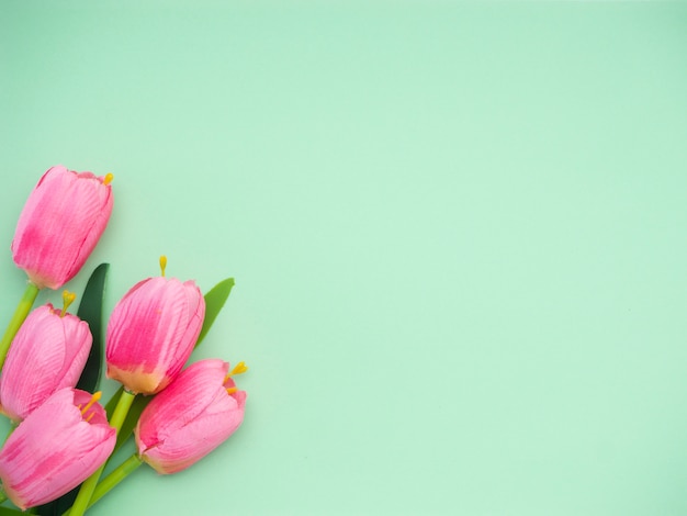 Fundo de papel verde de tulipas cor de rosa